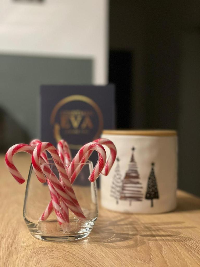 Apartman Eva, Moderan Stan U Srcu Zagorja Krapina Extérieur photo